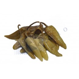 PIMENTS VERTS - seau 8kg -